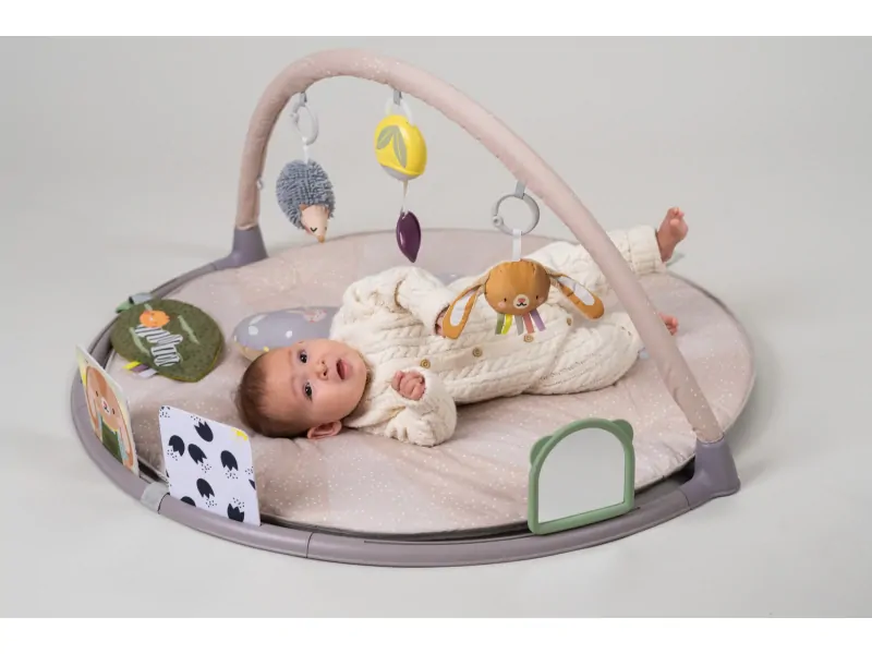 TAF TOYS Hrací deka s hrazdou pro hru na bříšku