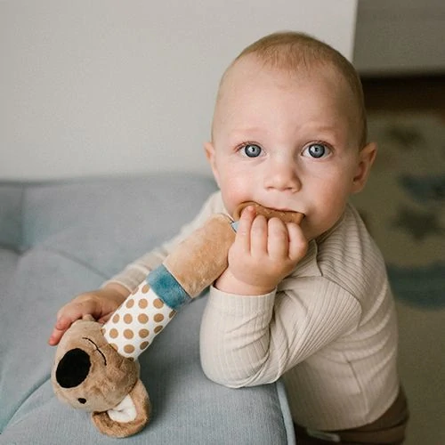 BabyOno Pískátko s kousátkem Koala Charlie