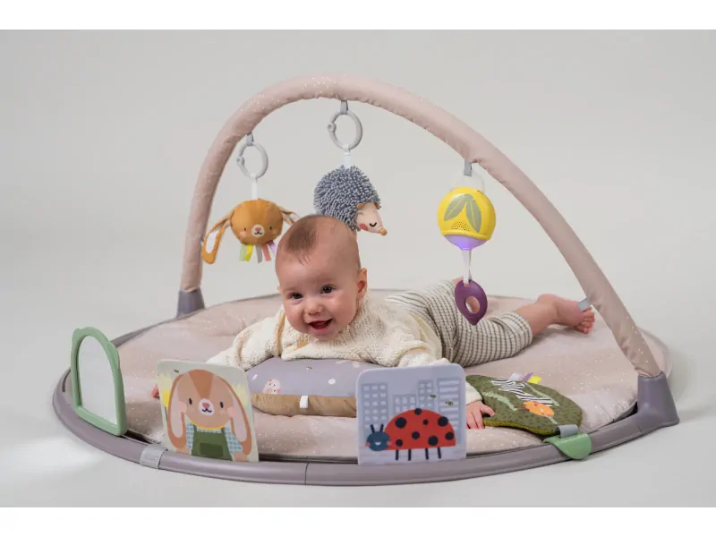 TAF TOYS Hrací deka s hrazdou pro hru na bříšku