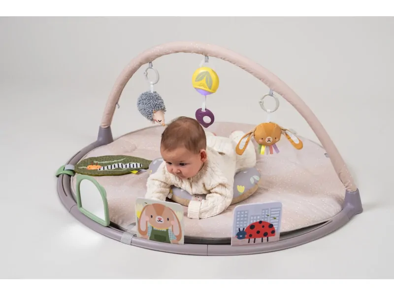 TAF TOYS Hrací deka s hrazdou pro hru na bříšku